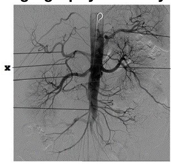 Image for question 5