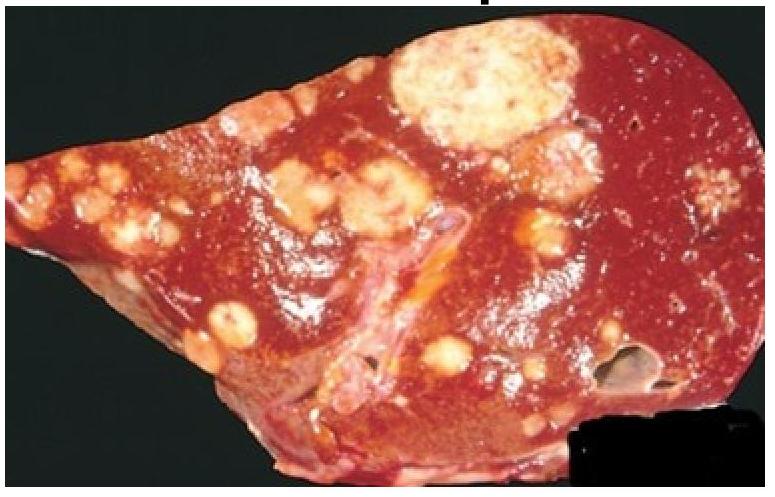 Image for question 6