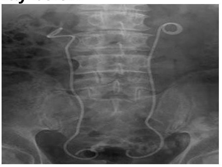 Image for question 5