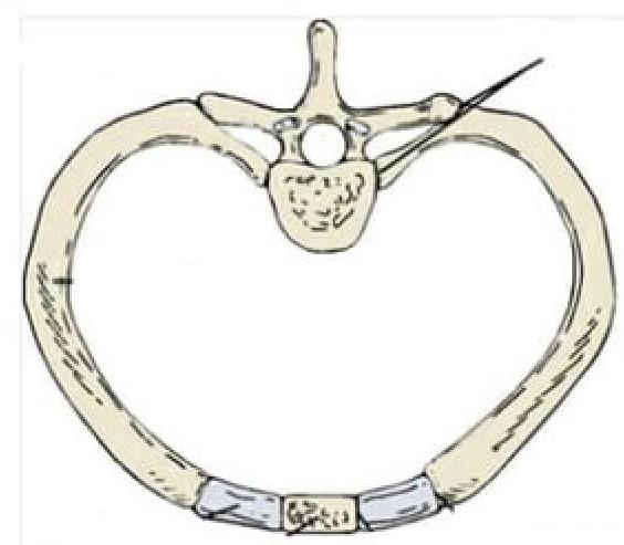 Image for question 8