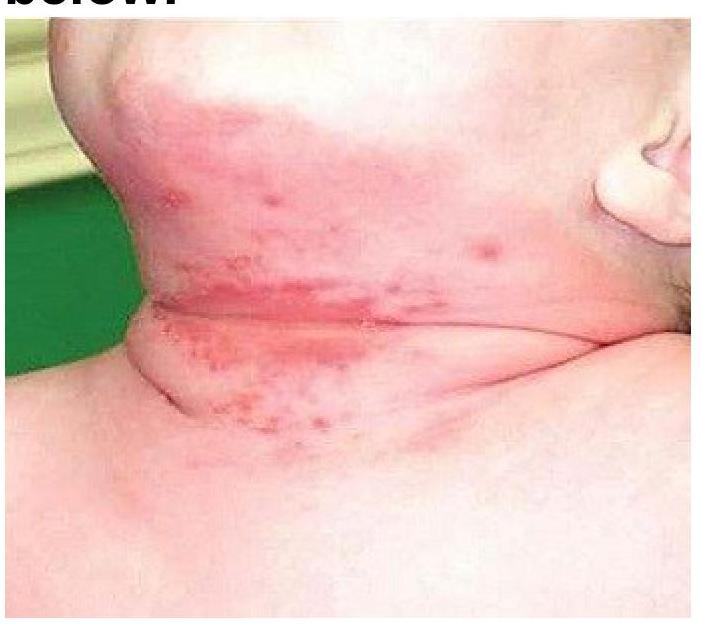 Image for question 8