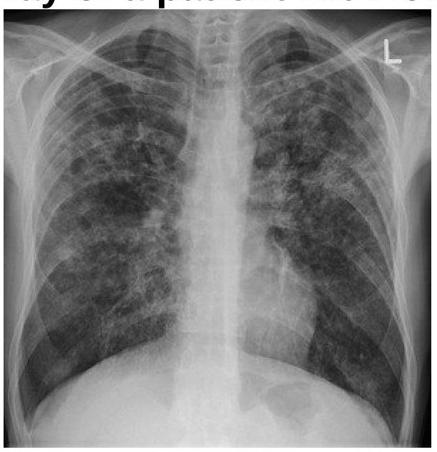 Image for question 8