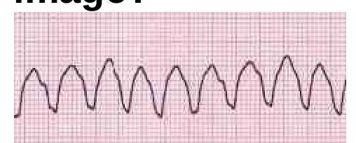 Image for question 6