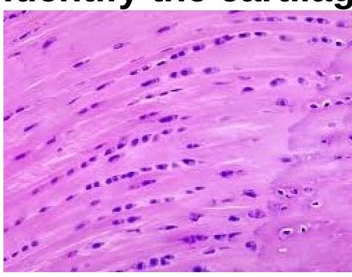 Image for question 213