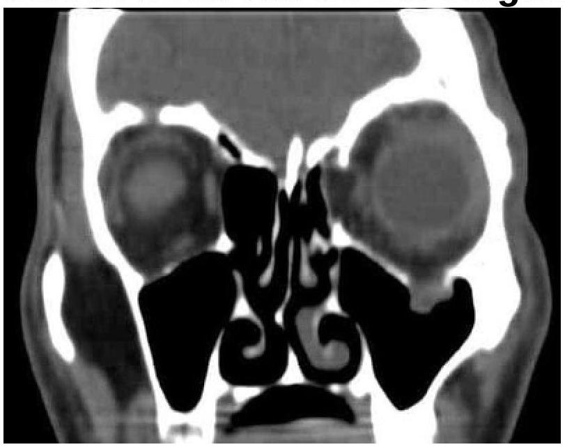 Image for question 6