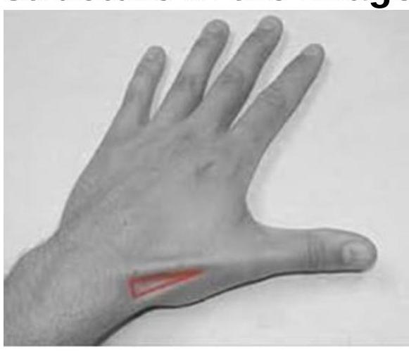 Image for question 3