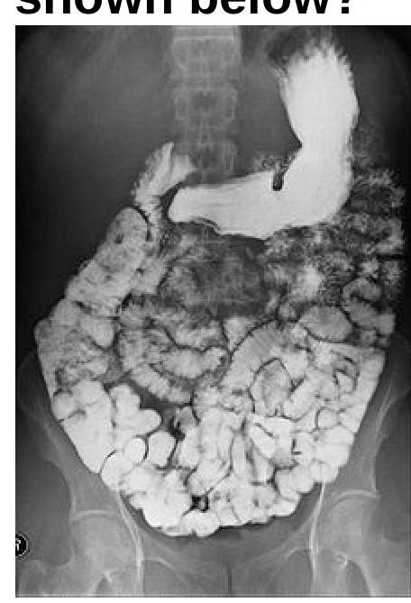 Image for question 4