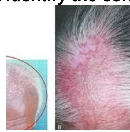 Image for question 3