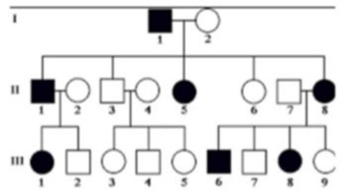 Image for question 27