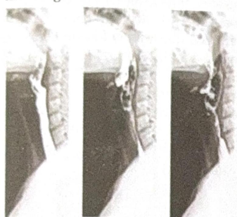 Image for question 6