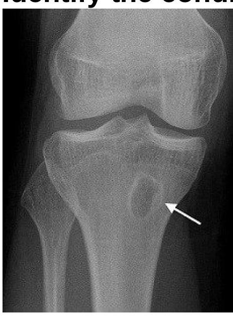 Image for question 7