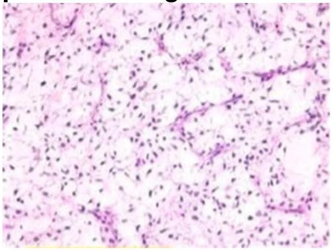 Image for question 8