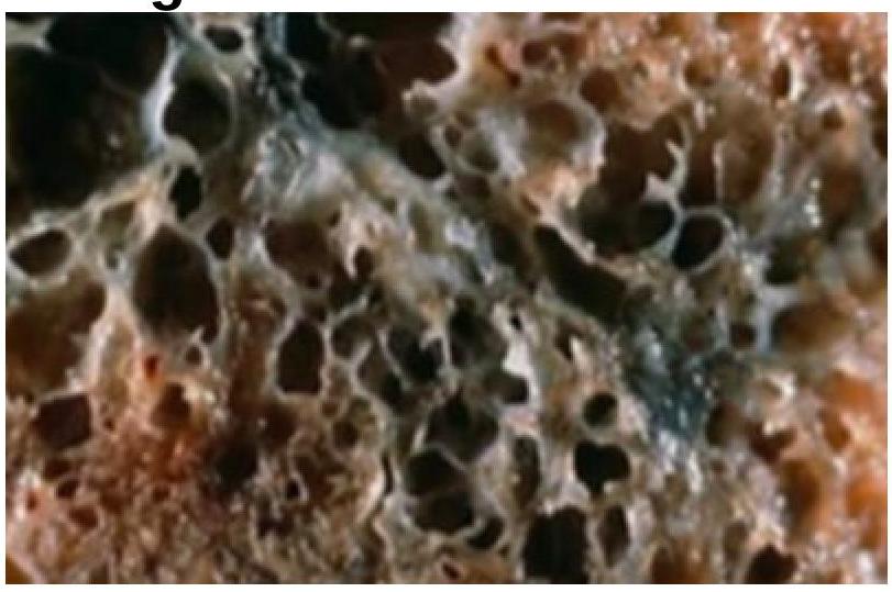 Image for question 6