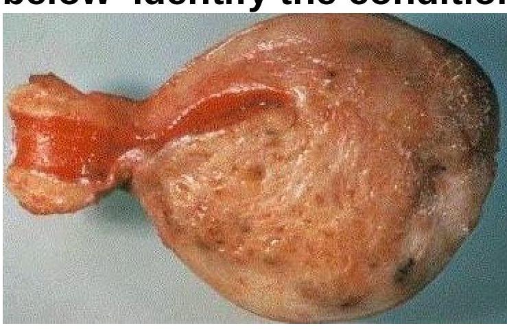 Image for question 8