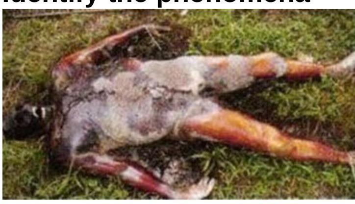 Image for question 7