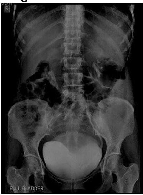 Image for question 8