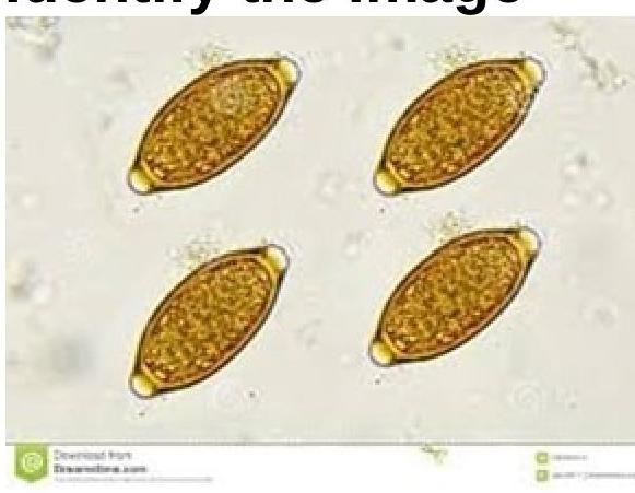 Image for question 6