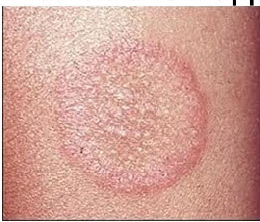 Image for question 2