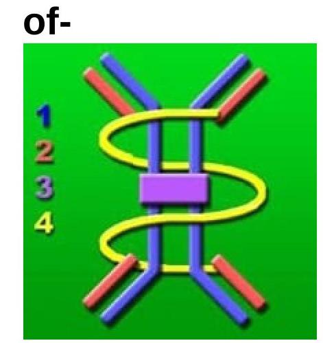 Image for question 986