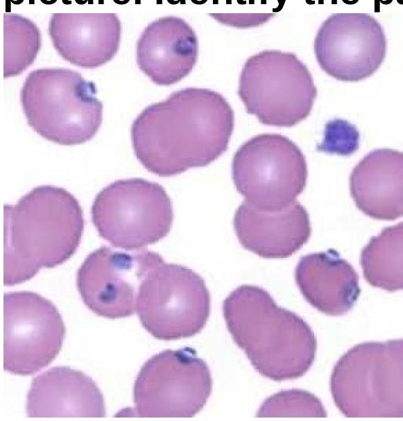 Image for question 4