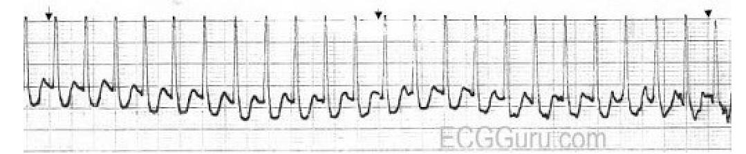 Image for question 8