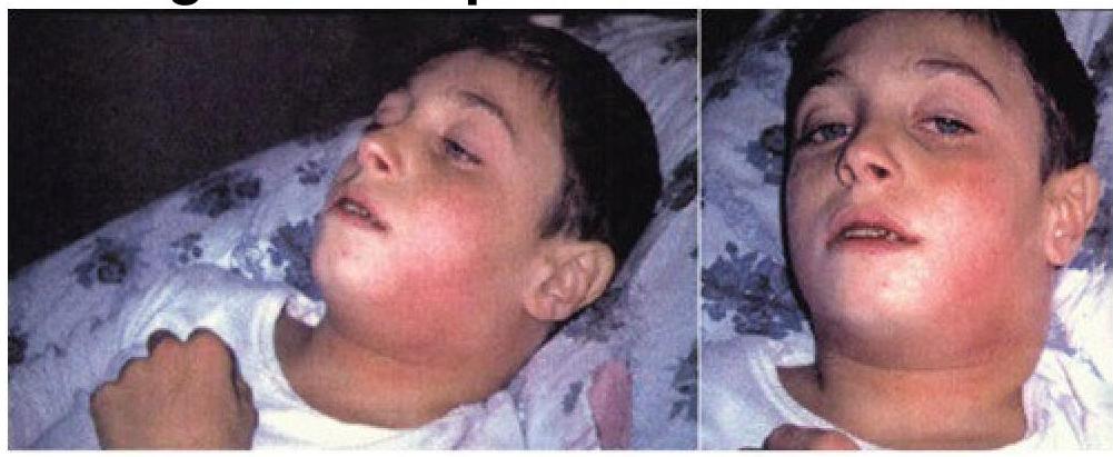 Image for question 3