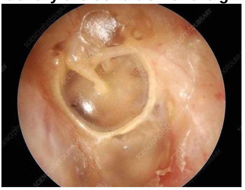 Image for question 9