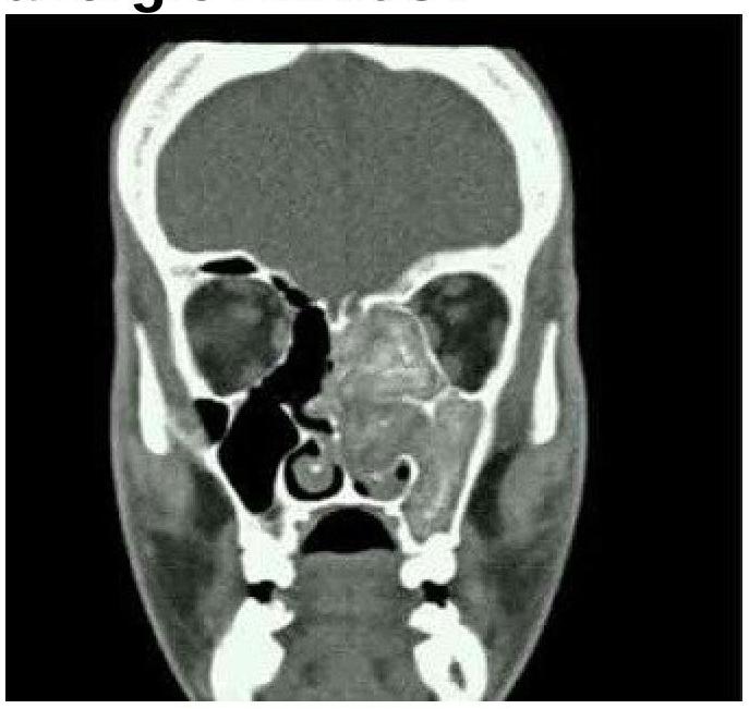 Image for question 6