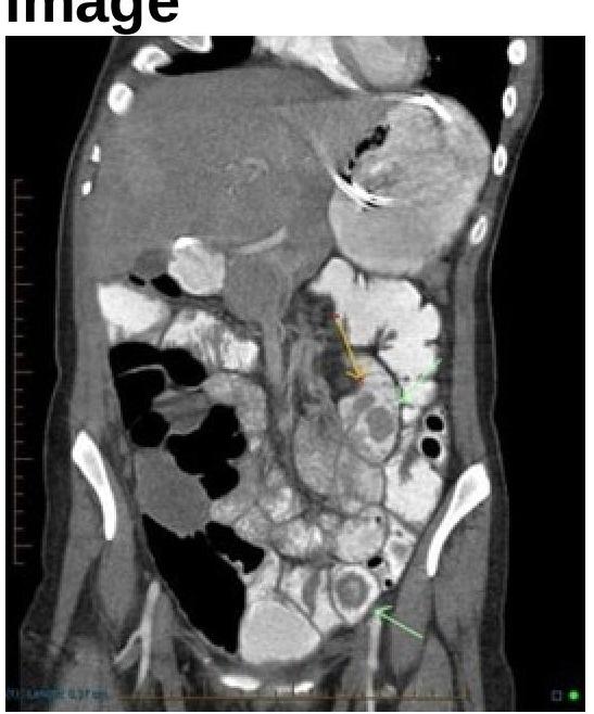 Image for question 6