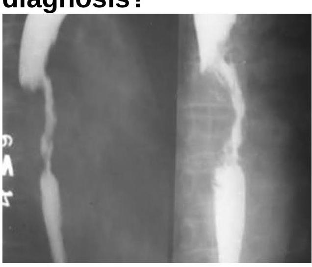 Image for question 5