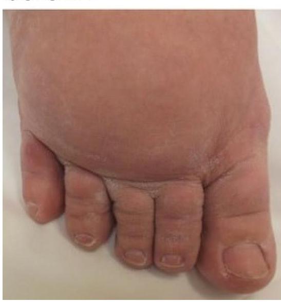 Image for question 5