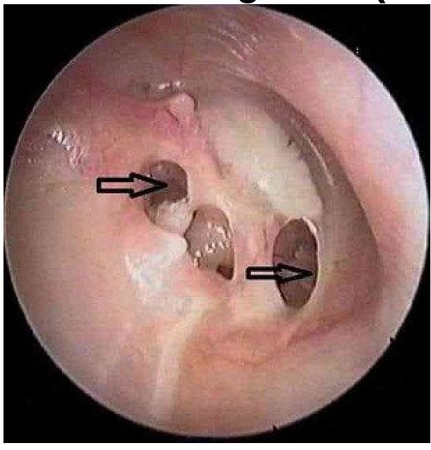 Image for question 8