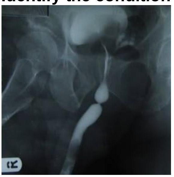 Image for question 3