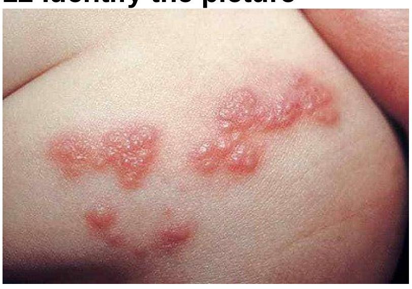 Image for question 2