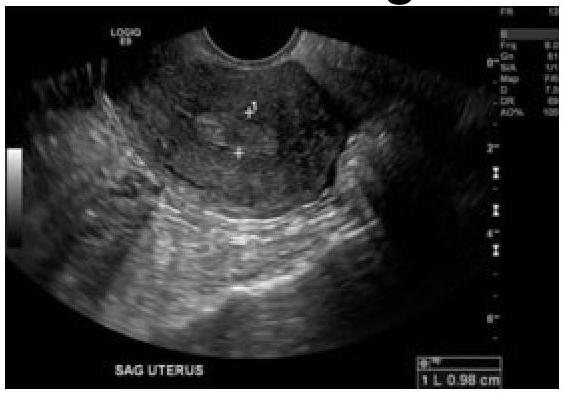 Image for question 1