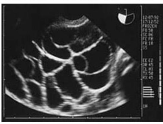 Image for question 4