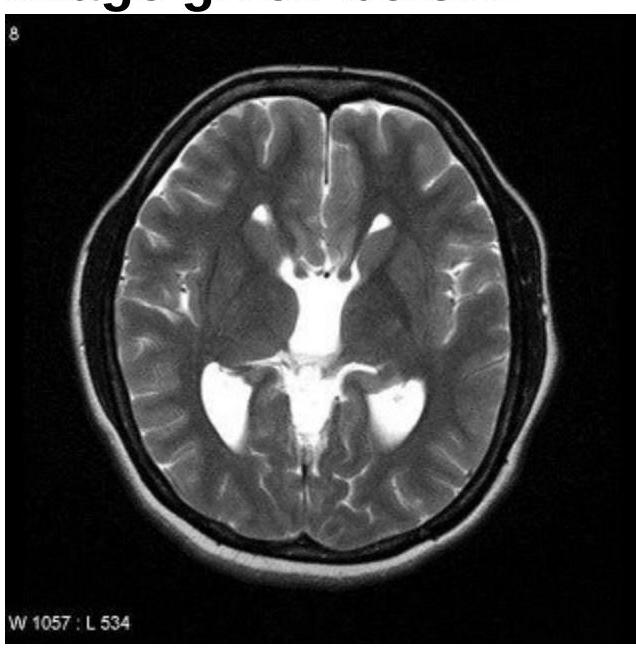 Image for question 10