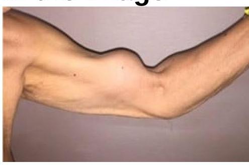 Image for question 1