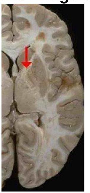 Image for question 8