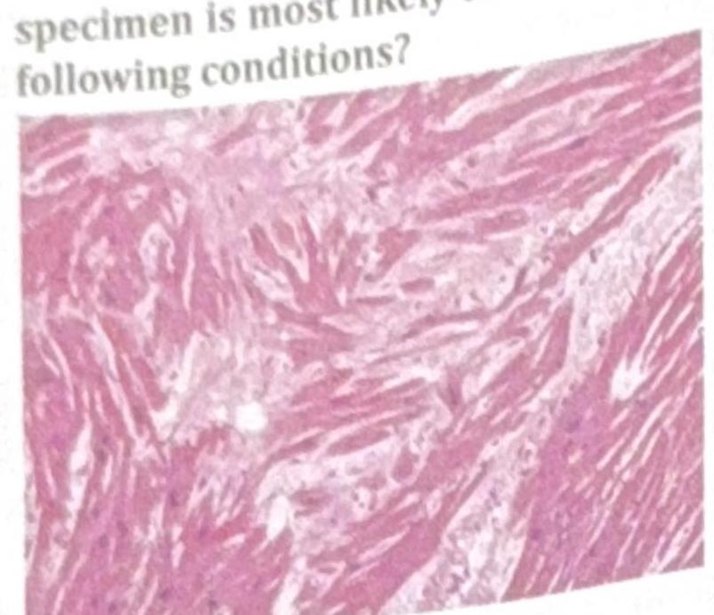 Image for question 7