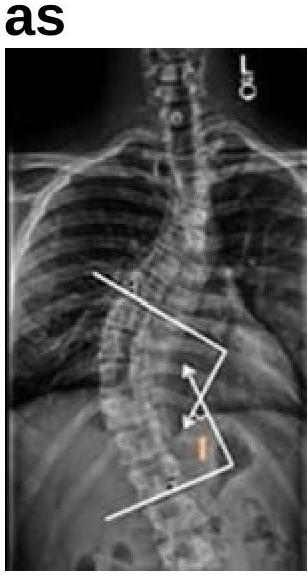 Image for question 7