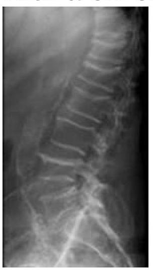 Image for question 10