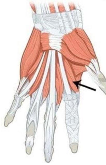 Image for question 8