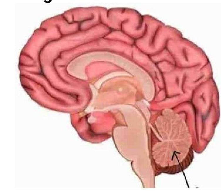 Image for question 9