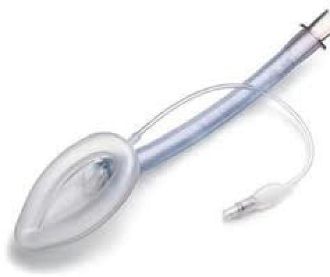 Image for question 10