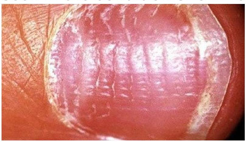 Image for question 5