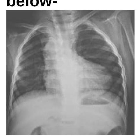 Image for question 1