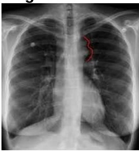 Image for question 10