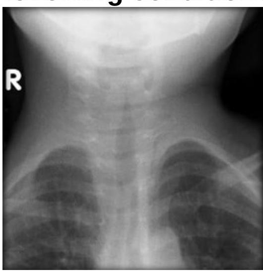 Image for question 2