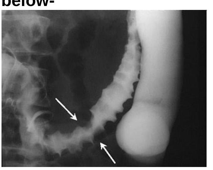 Image for question 8